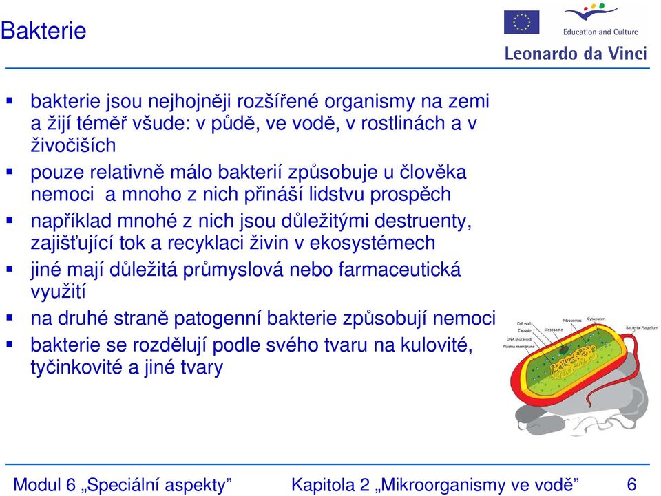 zajišťující tok a recyklaci živin v ekosystémech jiné mají důležitá průmyslová nebo farmaceutická využití na druhé straně patogenní bakterie