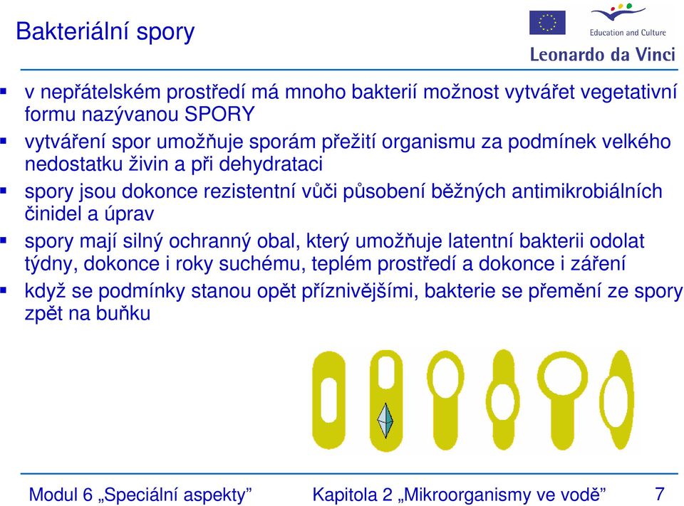 činidel a úprav spory mají silný ochranný obal, který umožňuje latentní bakterii odolat týdny, dokonce i roky suchému, teplém prostředí a dokonce i