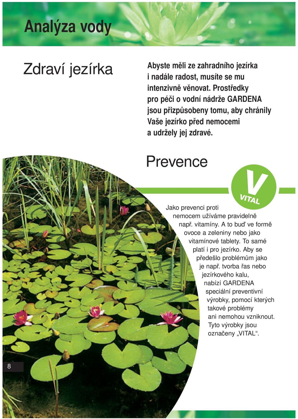 Prevence Jako prevenci proti nemocem užíváme pravidelně např. vitamíny. A to buď ve formě ovoce a zeleniny nebo jako vitamínové tablety.