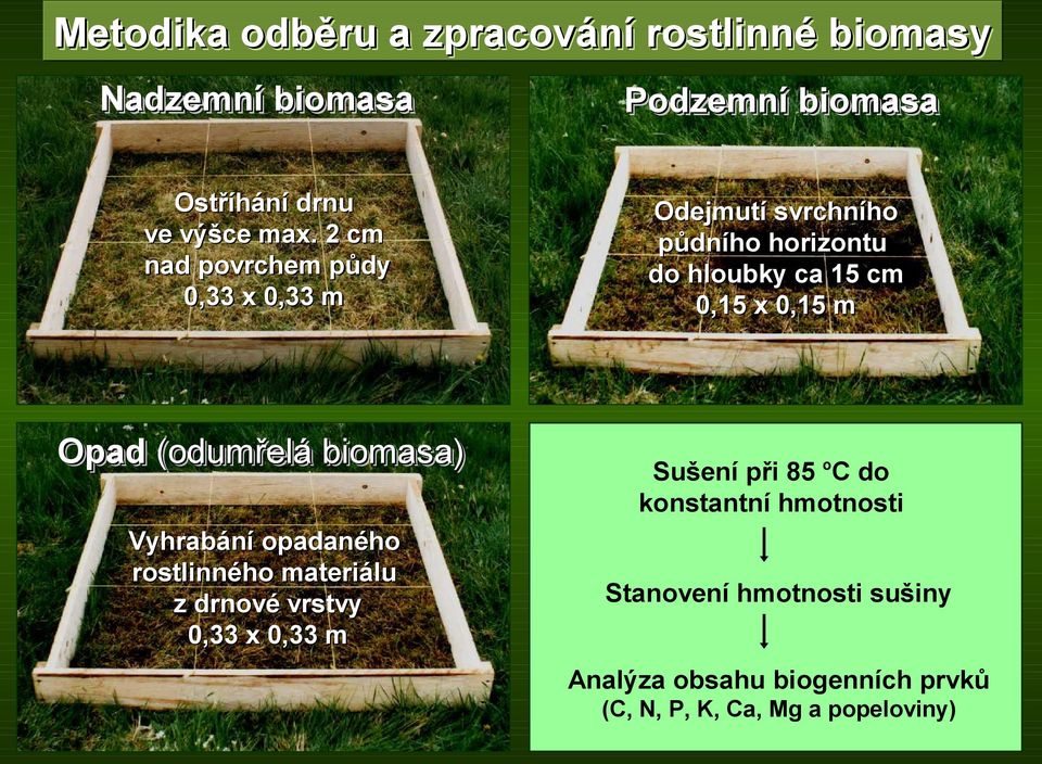 Sušení při 85 C do Odběry biomasy: konstantní hmotnosti Vyhrabání opadaného rostlinného materiálu z drnové vrstvy 0,33 x 0,33 m - červenec 1997-2009