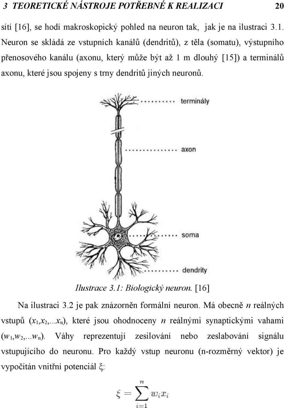 Neuron se skládá ze vstupních kanálů (dendritů), z těla (somatu), výstupního přenosového kanálu (axonu, který může být až 1 m dlouhý [15]) a terminálů axonu, které jsou
