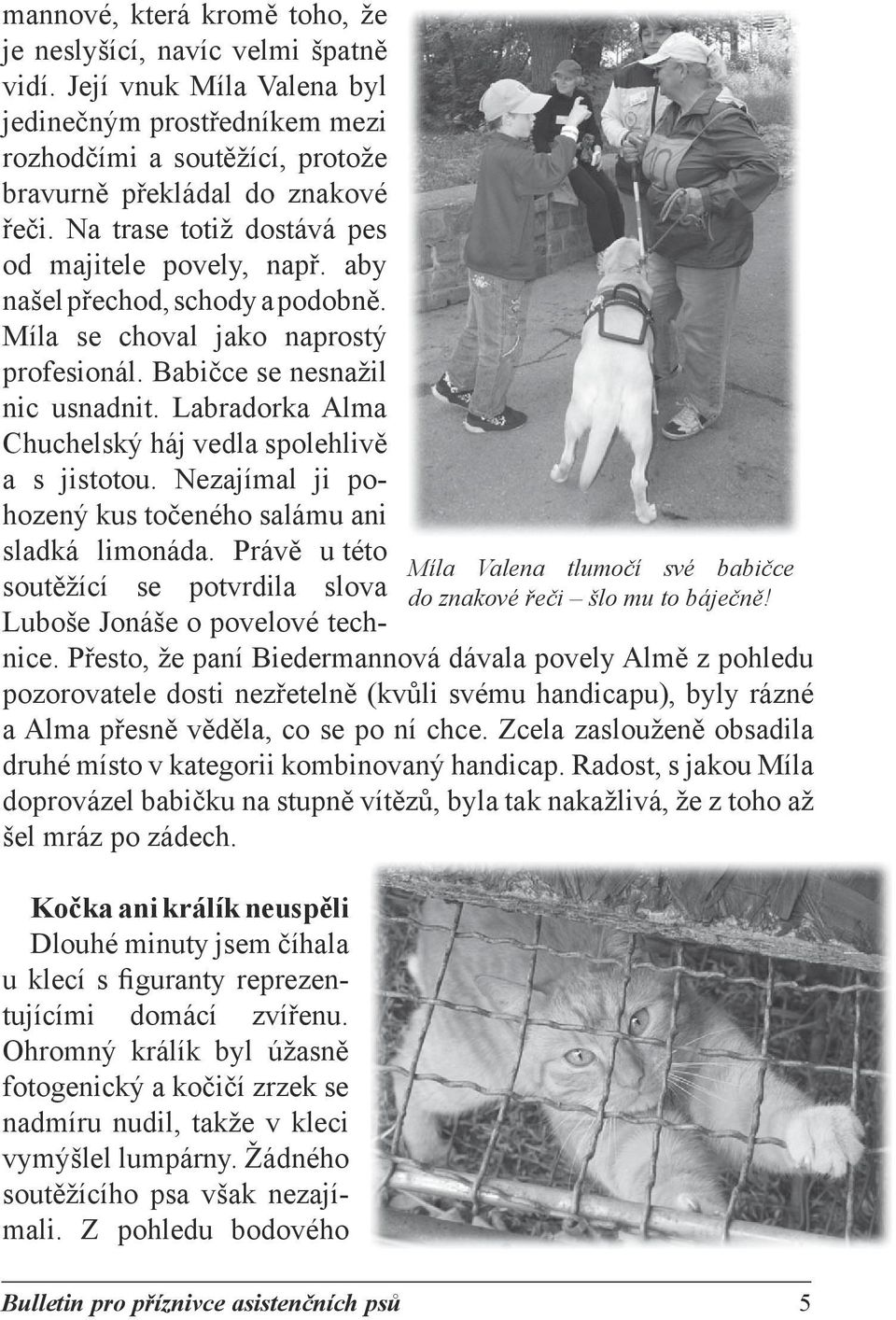 Labradorka Alma Chuchelský háj vedla spolehlivě a s jistotou. Nezajímal ji pohozený kus točeného salámu ani sladká limonáda.
