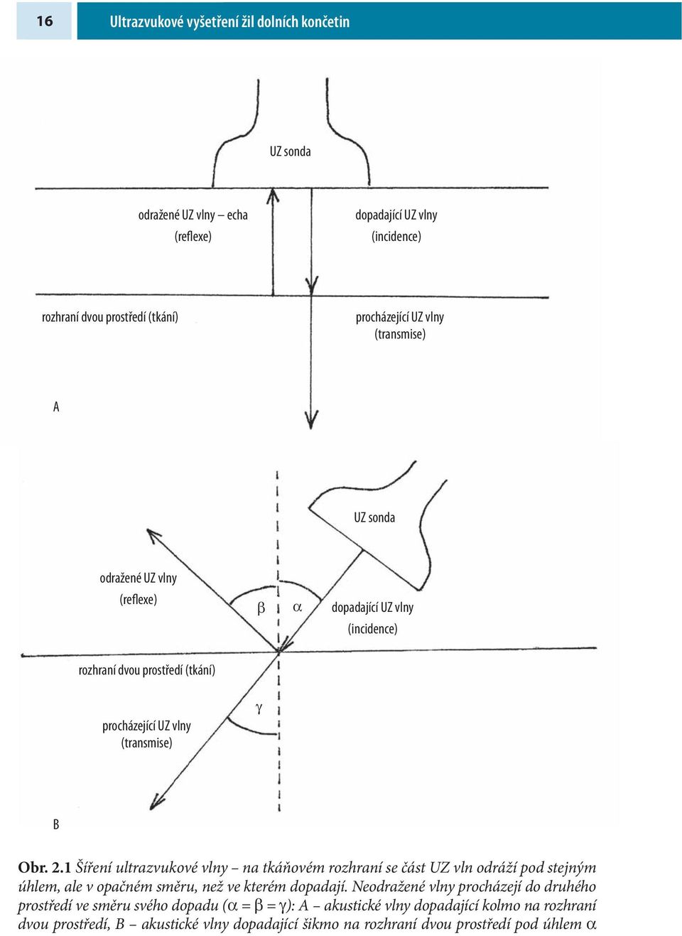 1 Šíření ultrazvukové vlny na tkáňovém rozhraní se část UZ vln odráží pod stejným úhlem, ale v opačném směru, než ve kterém dopadají.