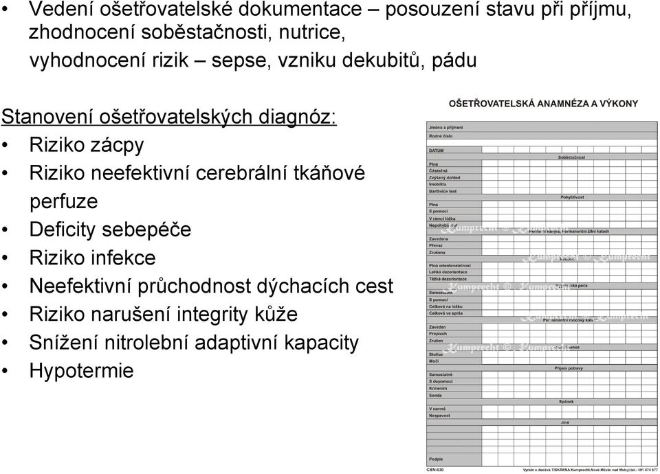 Riziko neefektivní cerebrální tkáňové perfuze Deficity sebepéče Riziko infekce Neefektivní