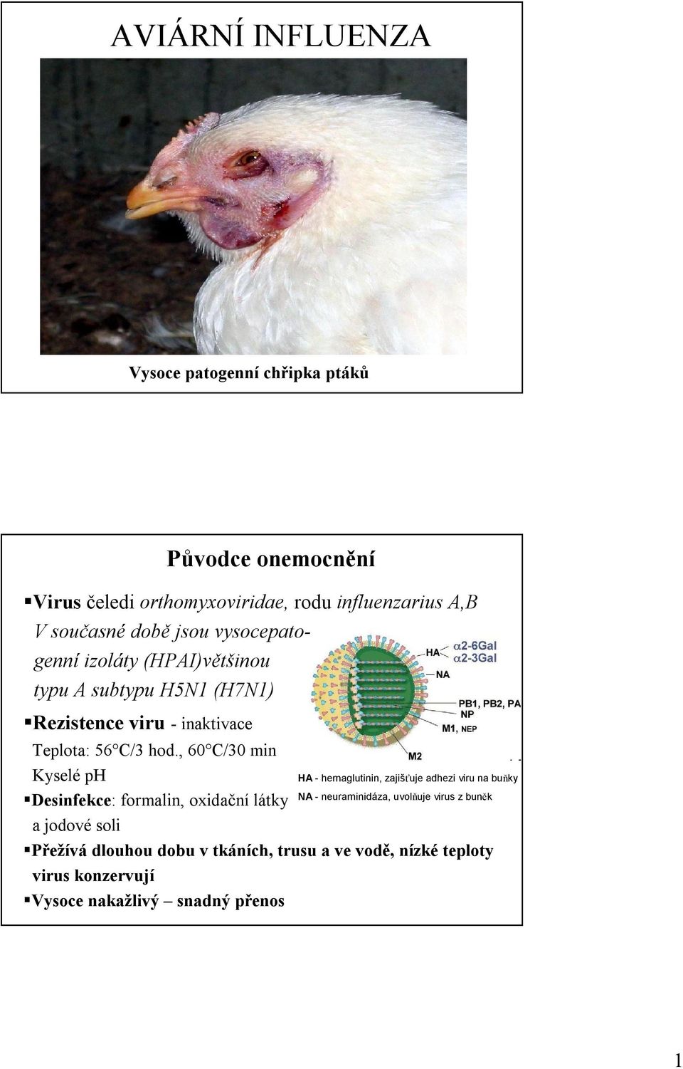 , 60 C/30 min Kyselé ph NA - neuraminidáza, uvolňuje virus z buněk Desinfekce: formalin, oxidační látky a jodové soli Přežívá dlouhou