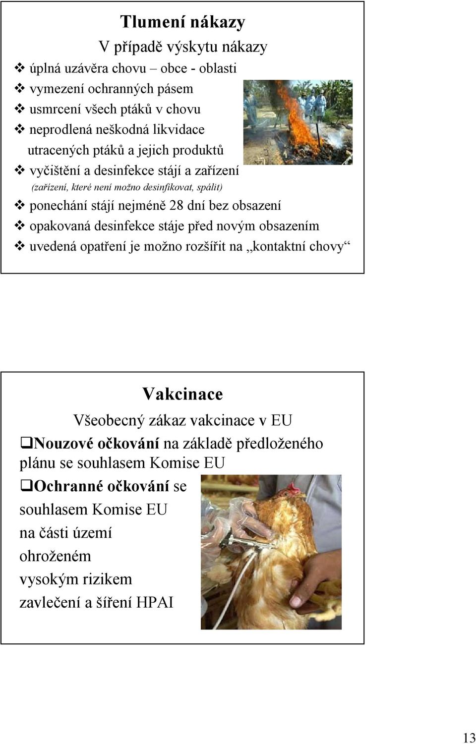 obsazení opakovaná desinfekce stáje před novým obsazením uvedená opatření je možno rozšířit na kontaktní chovy Vakcinace Všeobecný zákaz vakcinace v EU Nouzové