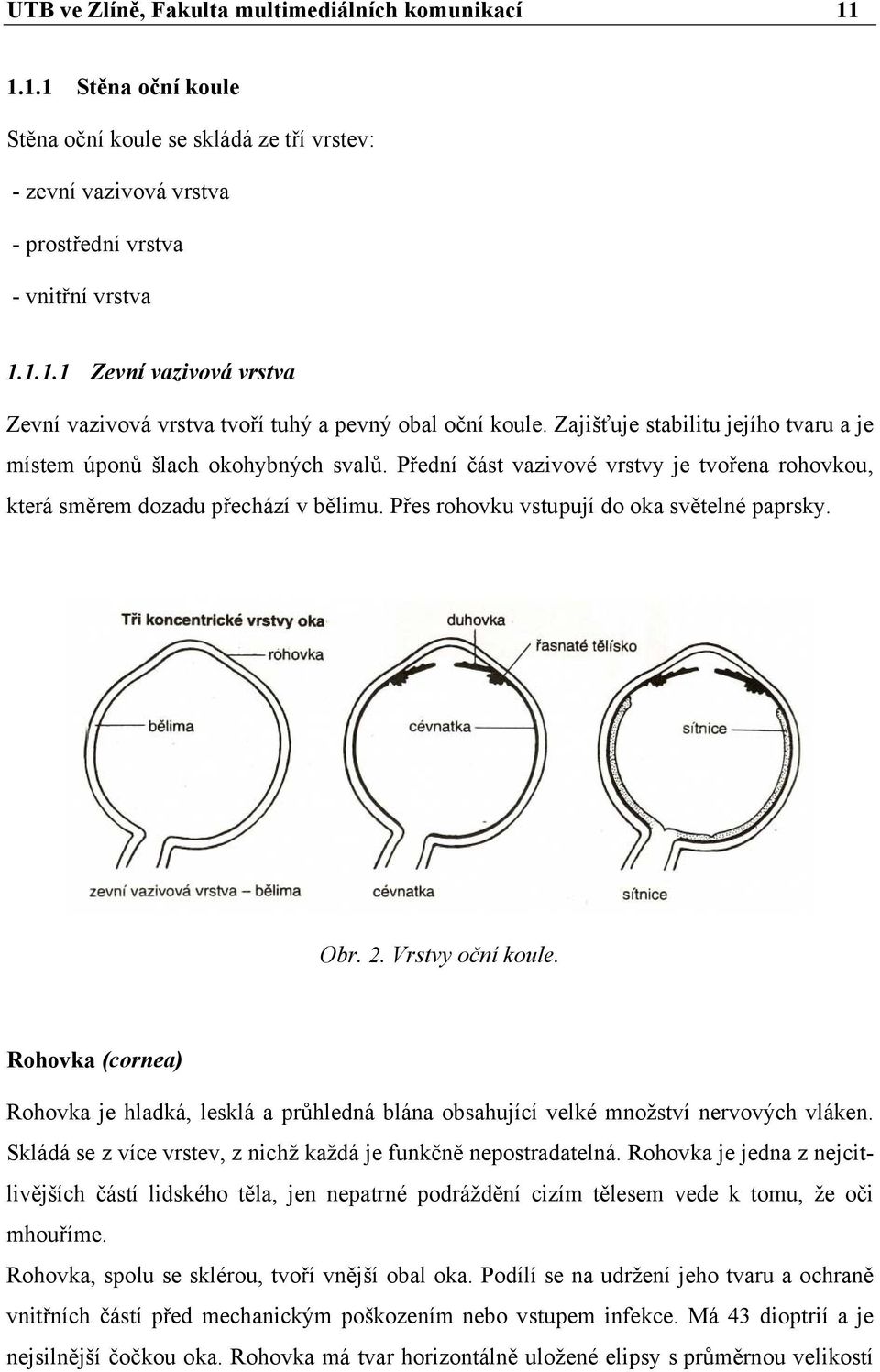 Přes rohovku vstupují do oka světelné paprsky. Obr. 2. Vrstvy oční koule. Rohovka (cornea) Rohovka je hladká, lesklá a průhledná blána obsahující velké množství nervových vláken.