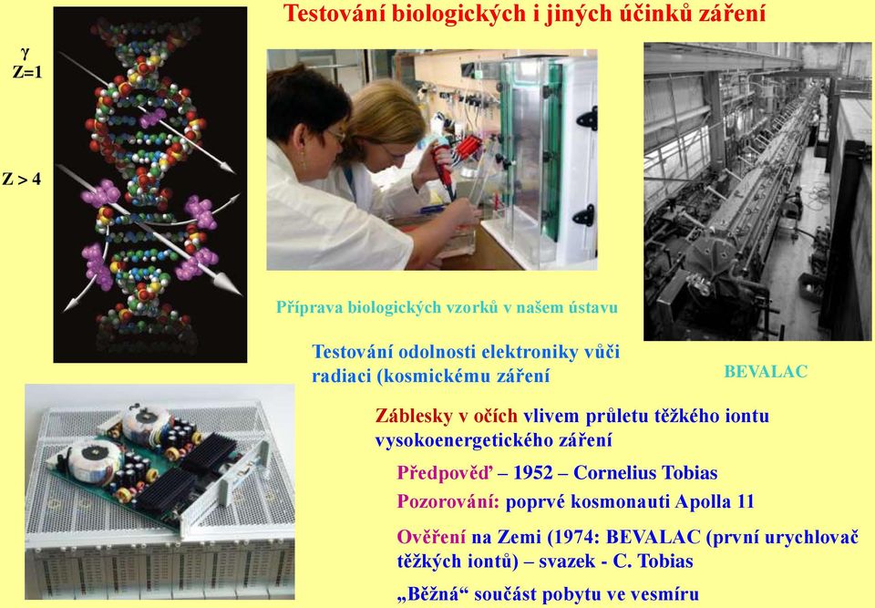 těžkého iontu vysokoenergetického záření Předpověď 1952 Cornelius Tobias Pozorování: poprvé kosmonauti