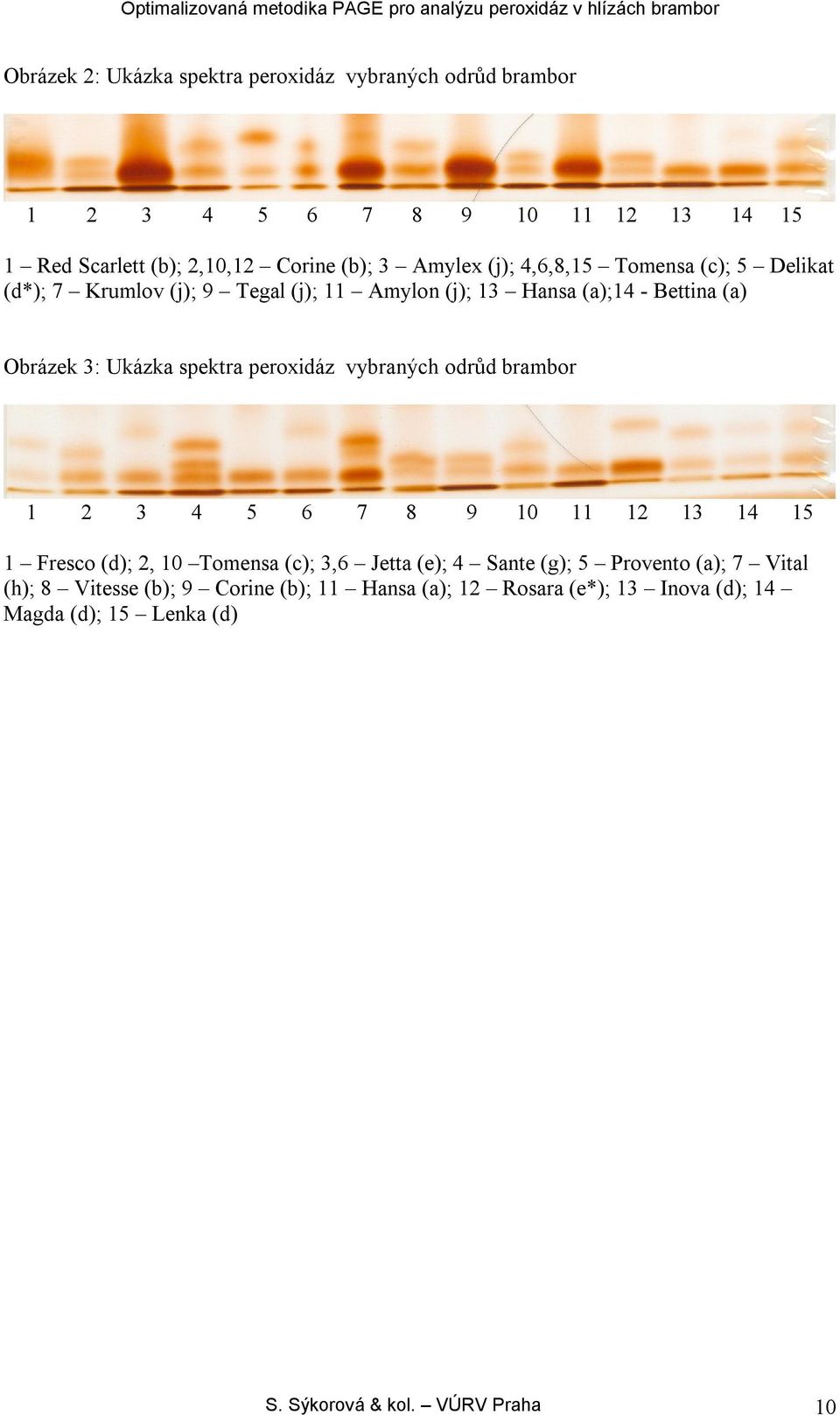 peroxidáz vybraných odrůd brambor 1 2 3 4 5 6 7 8 9 10 11 12 13 14 15 1 Fresco (d); 2, 10 Tomensa (c); 3,6 Jetta (e); 4 Sante (g); 5 Provento