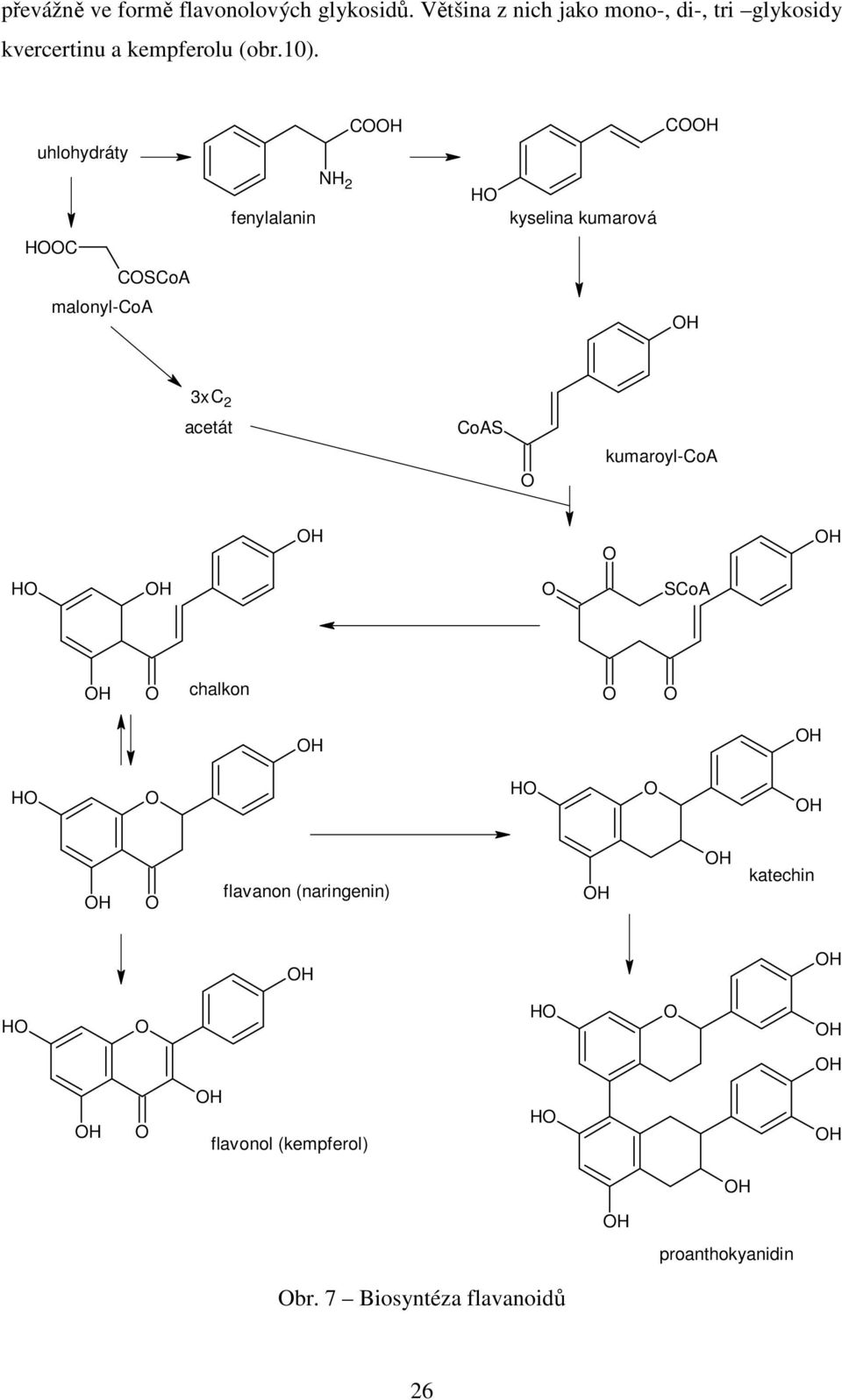 C C uhlohydráty fenylalanin NH 2 H kyselina kumarová HC CSCoA malonyl-coa 3xC 2 acetát