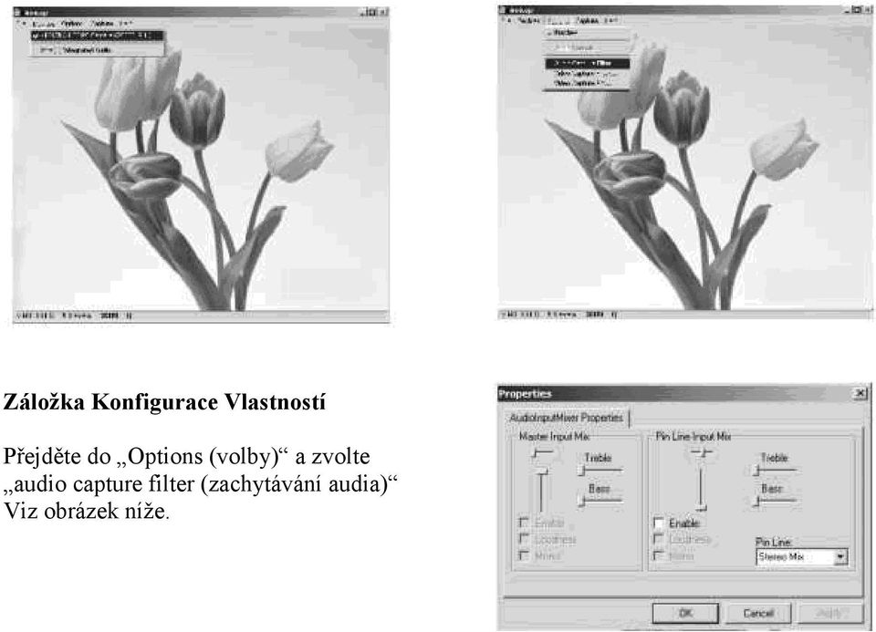 zvolte audio capture filter