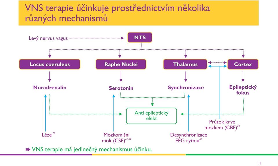 Epileptický fokus 26 Léze Mozkomíšní 27,28 mok (CSF) Anti epileptický efekt VNS terapie