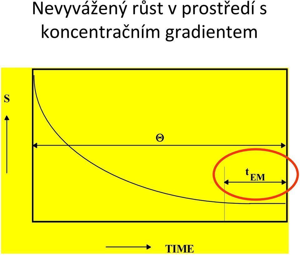 koncentračním