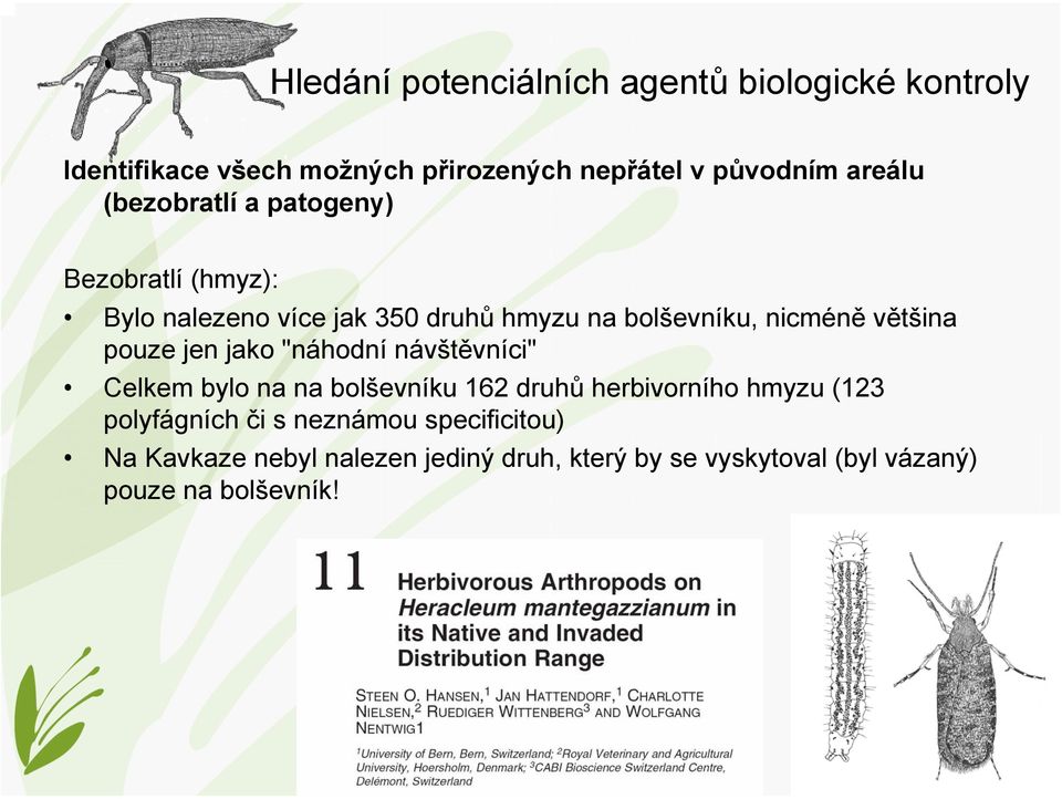 pouze jen jako "náhodní návštěvníci" Celkem bylo na na bolševníku 162 druhů herbivorního hmyzu (123 polyfágních či