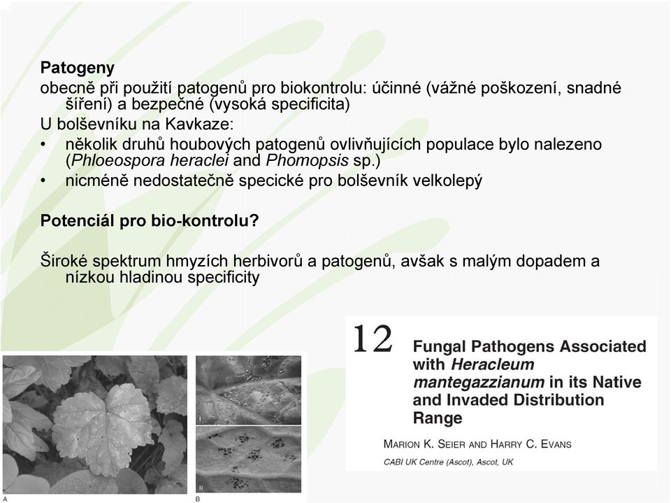 nalezeno (Phloeospora heraclei and Phomopsis sp.