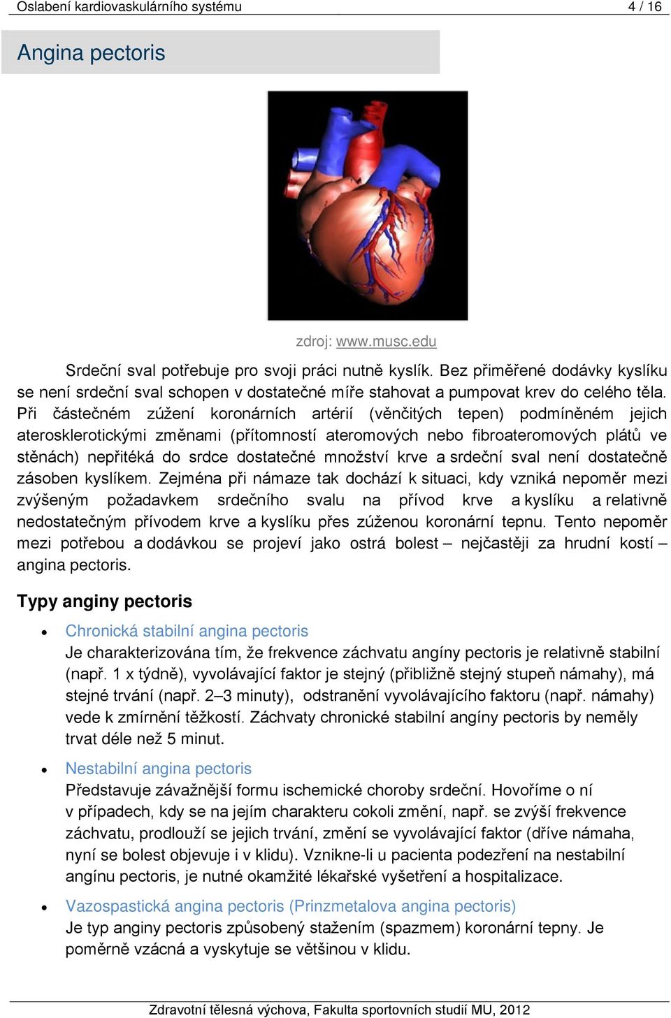 Při částečném zúžení koronárních artérií (věnčitých tepen) podmíněném jejich aterosklerotickými změnami (přítomností ateromových nebo fibroateromových plátů ve stěnách) nepřitéká do srdce dostatečné