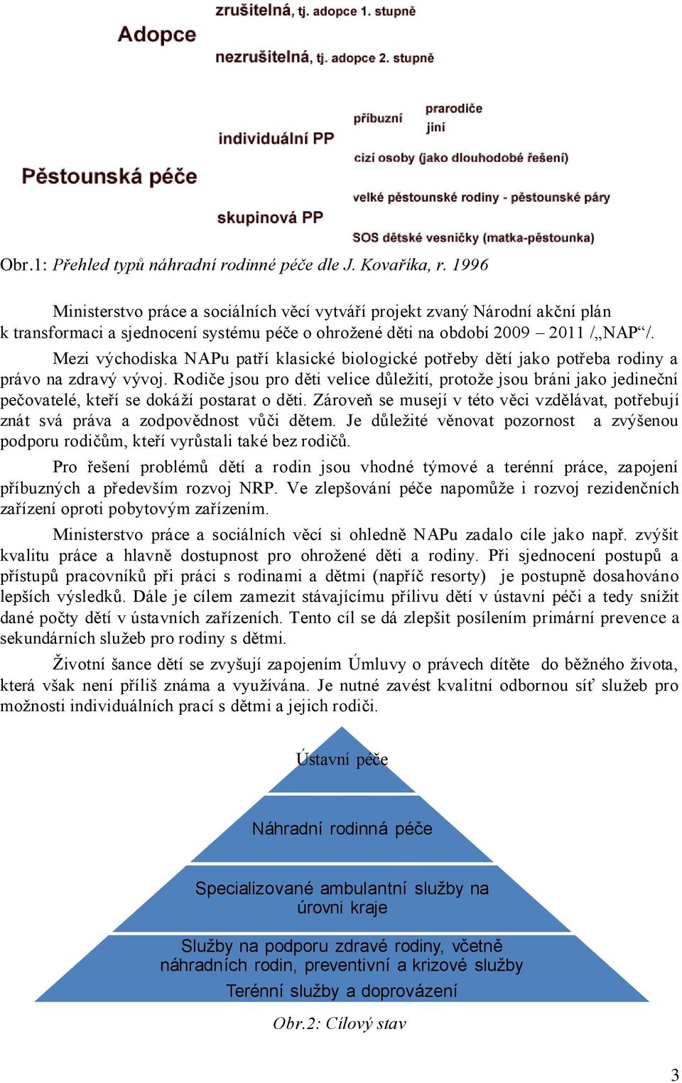 Mezi východiska NAPu patří klasické biologické potřeby dětí jako potřeba rodiny a právo na zdravý vývoj.