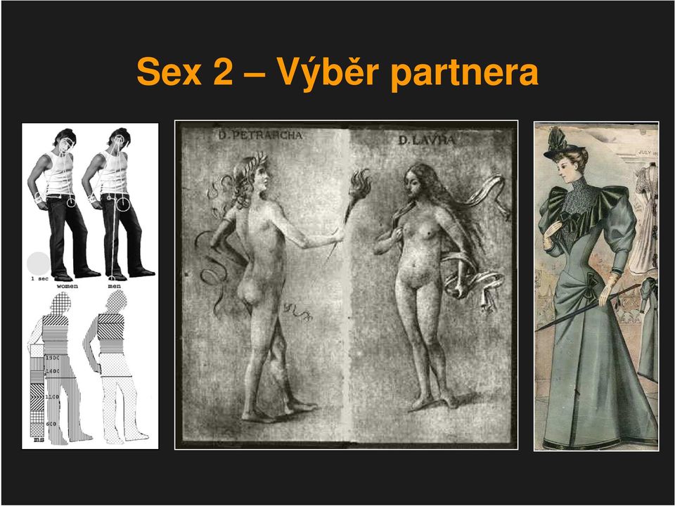partnera