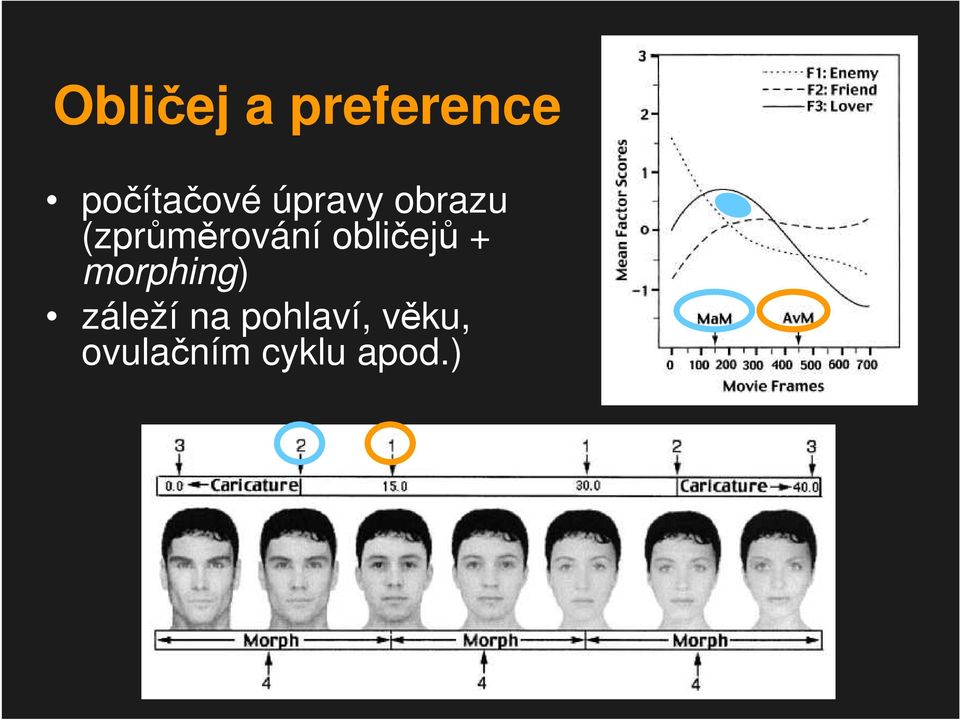 obličejů + morphing) záleží na