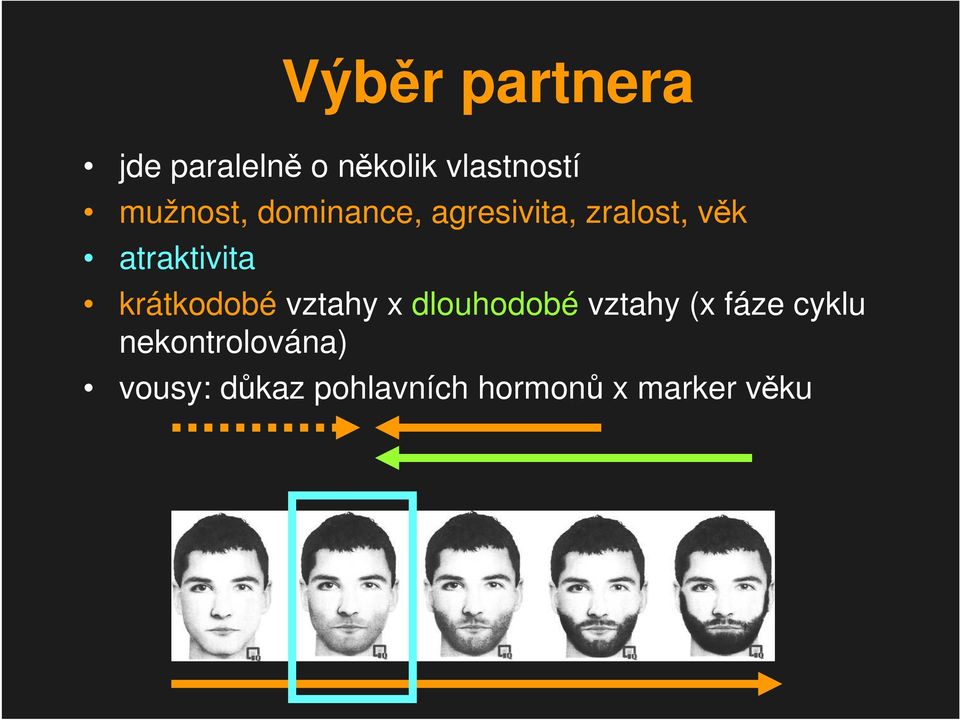 atraktivita krátkodobé vztahy x dlouhodobé vztahy (x