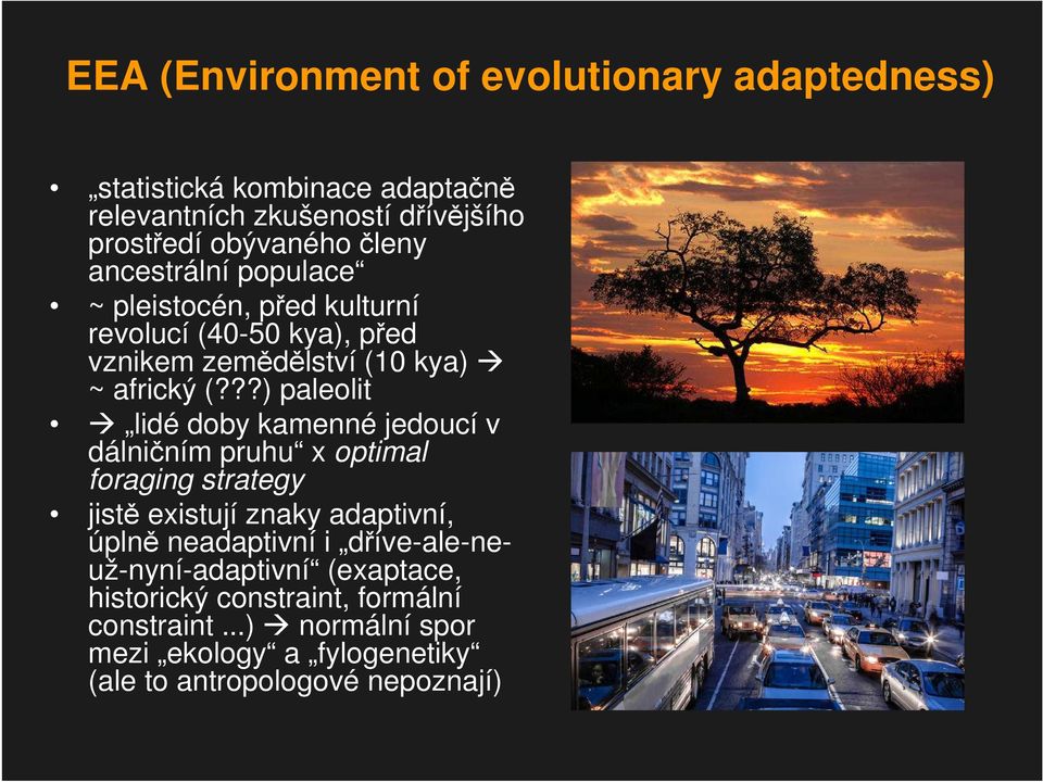 ??) paleolit lidé doby kamenné jedoucí v dálničním pruhu x optimal foraging strategy jistě existují znaky adaptivní, úplně neadaptivní i