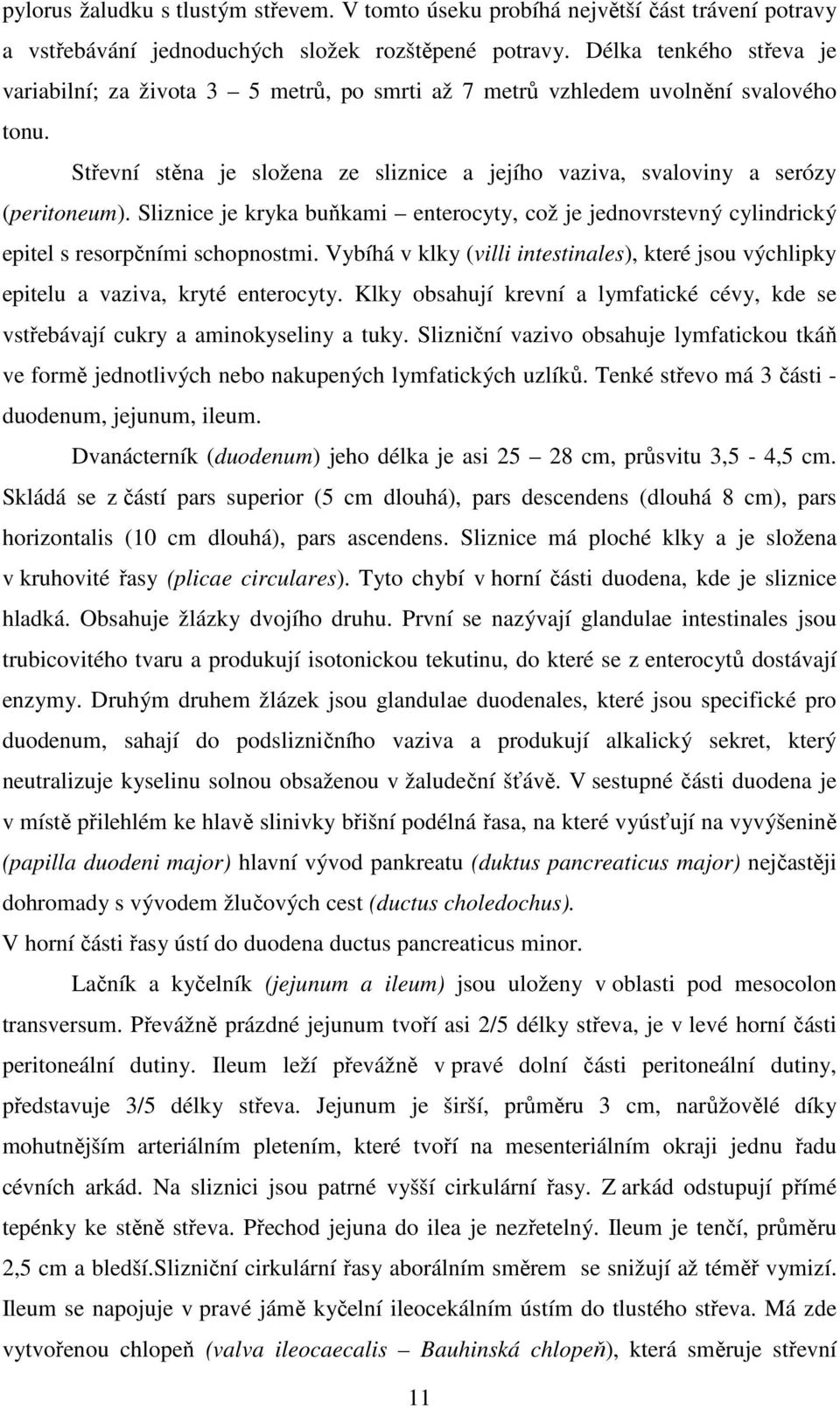 Sliznice je kryka buňkami enterocyty, což je jednovrstevný cylindrický epitel s resorpčními schopnostmi. Vybíhá v klky (villi intestinales), které jsou výchlipky epitelu a vaziva, kryté enterocyty.