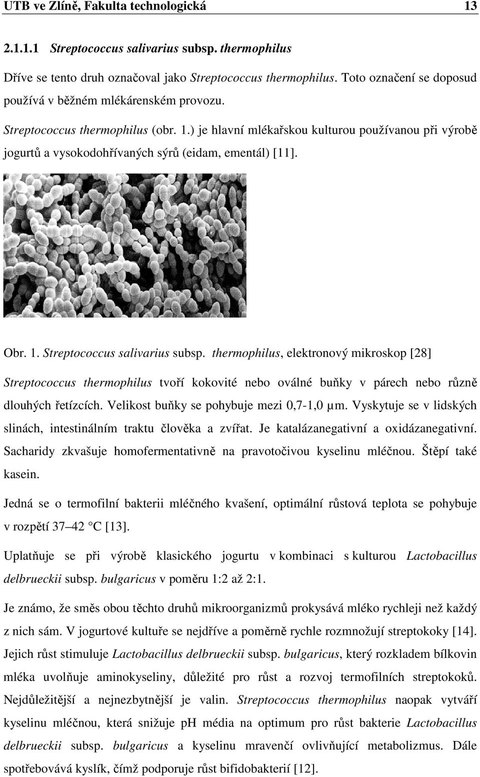 ) je hlavní mlékařskou kulturou používanou při výrobě jogurtů a vysokodohřívaných sýrů (eidam, ementál) [11]. Obr. 1. Streptococcus salivarius subsp.