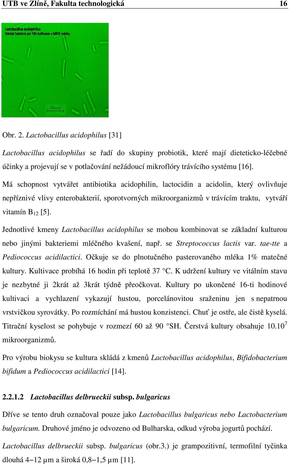 Má schopnost vytvářet antibiotika acidophilin, lactocidin a acidolin, který ovlivňuje nepříznivé vlivy enterobakterií, sporotvorných mikroorganizmů v trávícím traktu, vytváří vitamín B 12 [5].