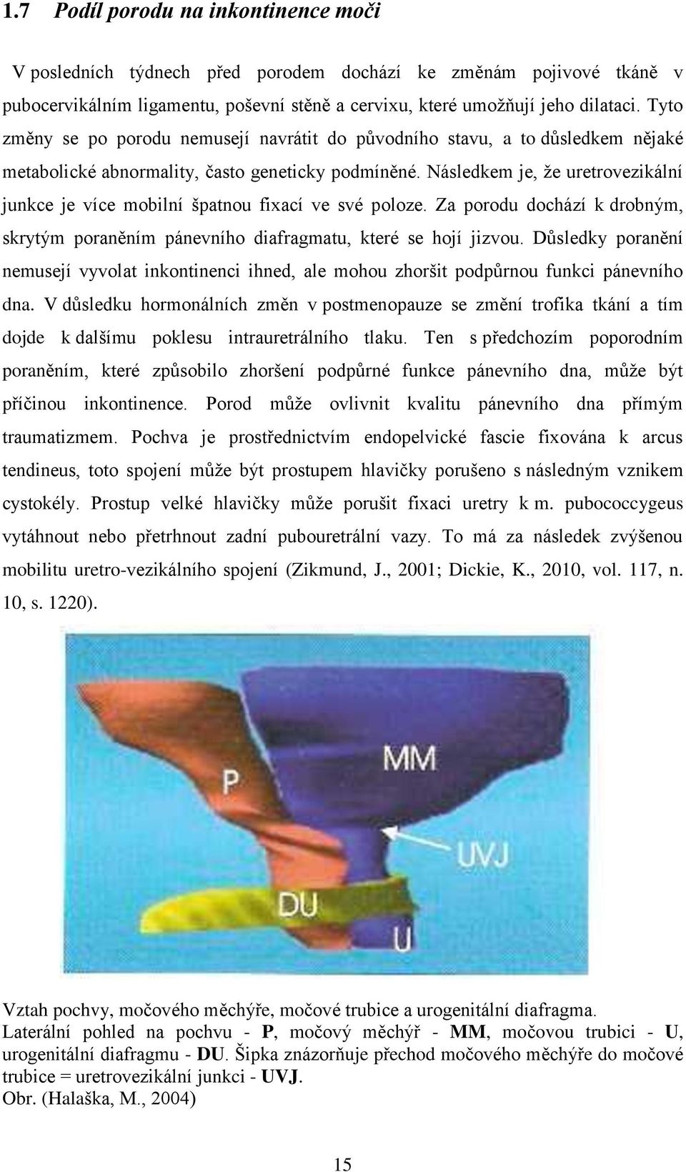 Následkem je, ţe uretrovezikální junkce je více mobilní špatnou fixací ve své poloze. Za porodu dochází k drobným, skrytým poraněním pánevního diafragmatu, které se hojí jizvou.