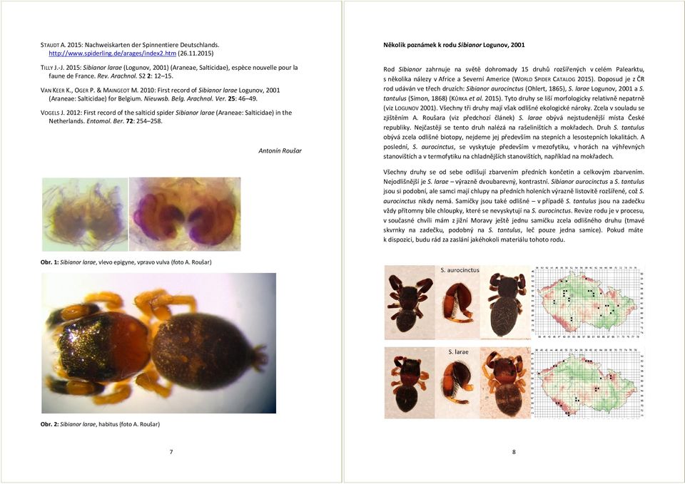 2010: First record of Sibianor larae Logunov, 2001 (Araneae: Salticidae) for Belgium. Nieuwsb. Belg. Arachnol. Ver. 25: 46 49. VOGELS J.