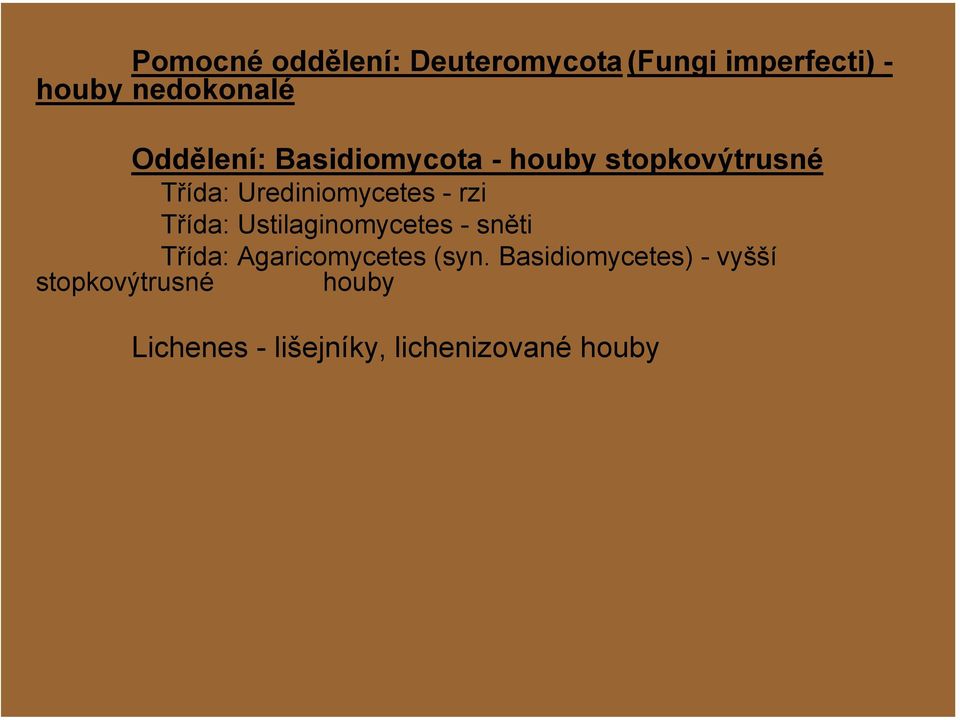 rzi Třída: Ustilaginomycetes - sněti Třída: Agaricomycetes (syn.