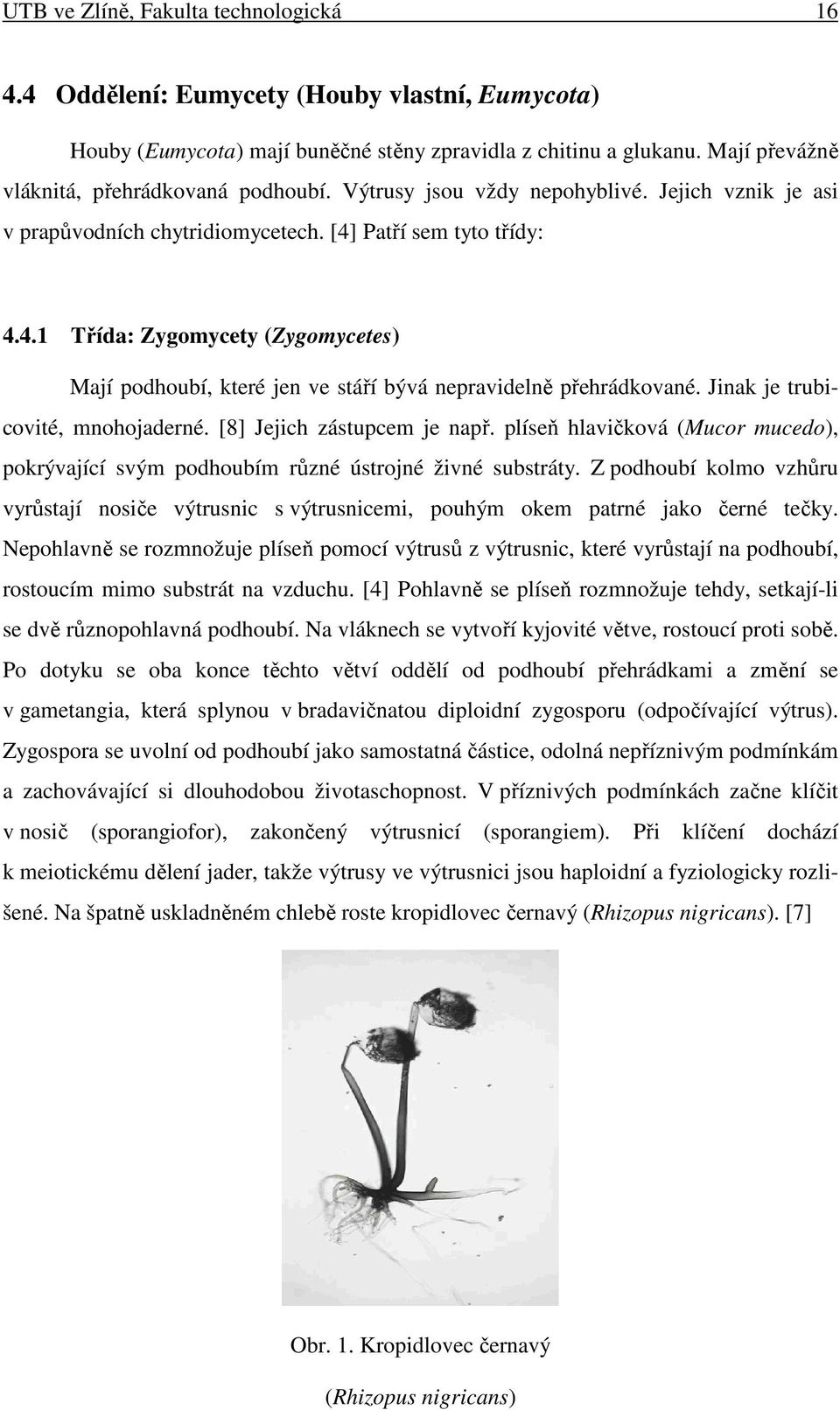 Patří sem tyto třídy: 4.4.1 Třída: Zygomycety (Zygomycetes) Mají podhoubí, které jen ve stáří bývá nepravidelně přehrádkované. Jinak je trubicovité, mnohojaderné. [8] Jejich zástupcem je např.