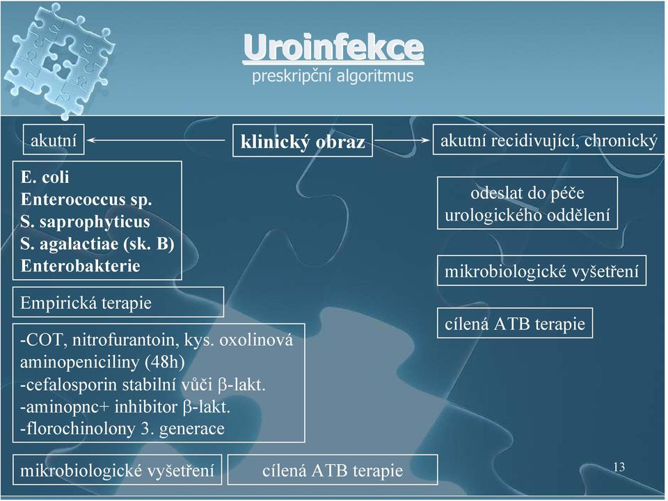 oxolinová aminopeniciliny (48h) -cefalosporin stabilní vůči β-lakt. -aminopnc+ inhibitor β-lakt. -florochinolony 3.