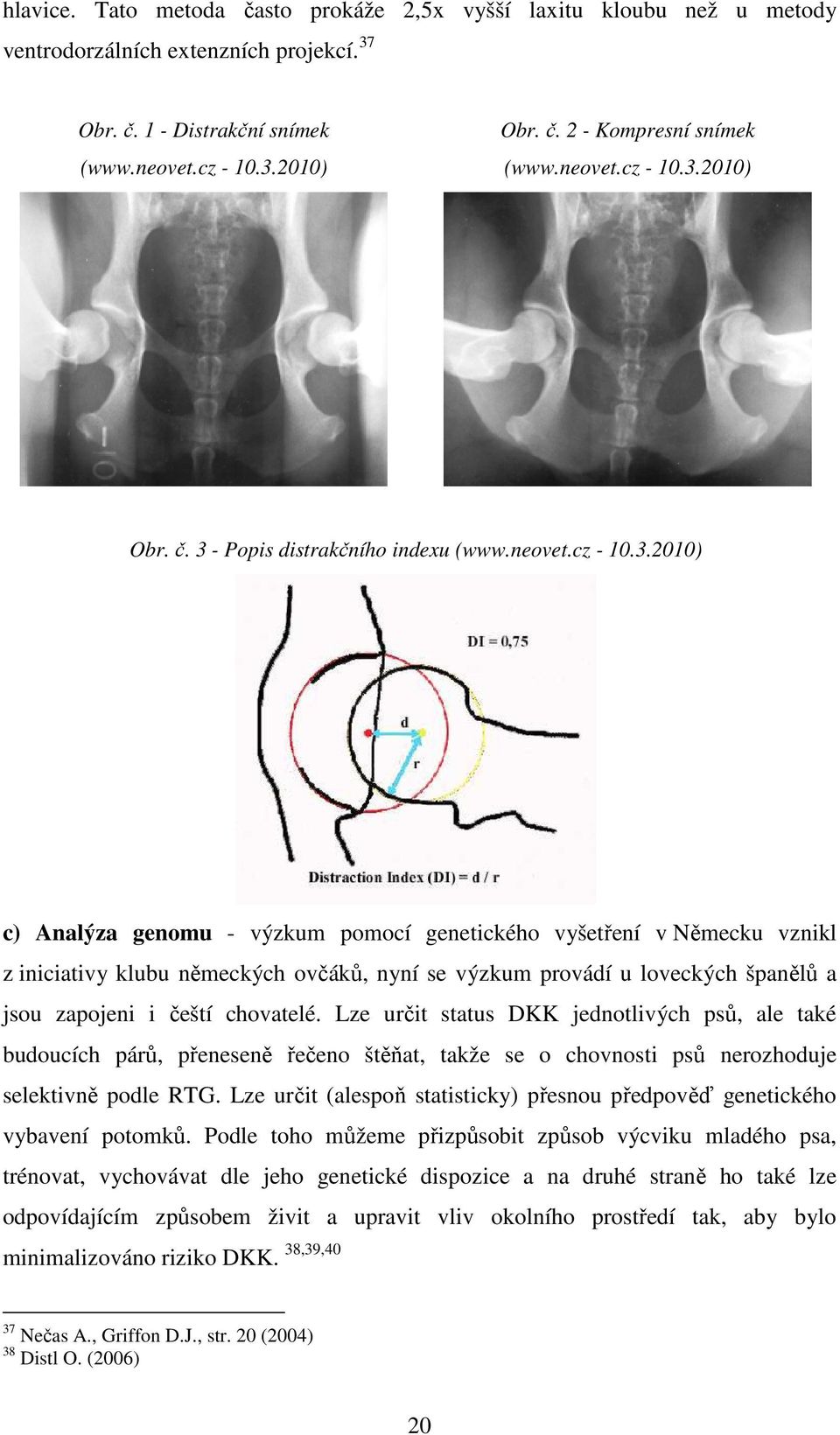 2010) Obr. č. 3 - Popis distrakčního indexu (www.