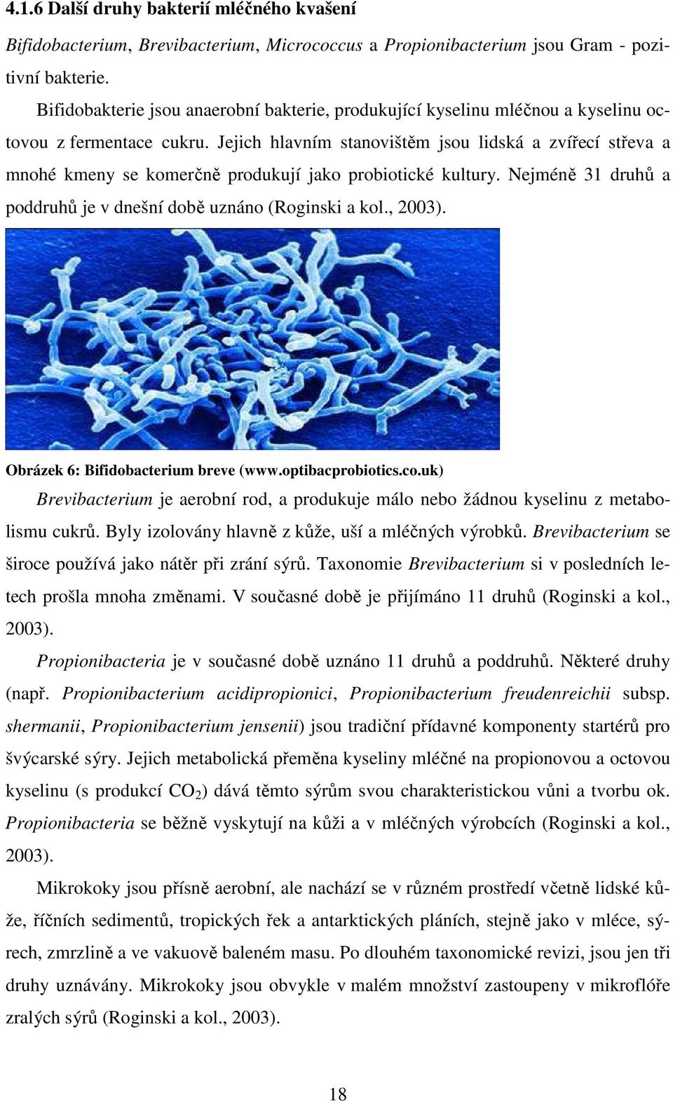 Jejich hlavním stanovištěm jsou lidská a zvířecí střeva a mnohé kmeny se komerčně produkují jako probiotické kultury. Nejméně 31 druhů a poddruhů je v dnešní době uznáno (Roginski a kol., 2003).