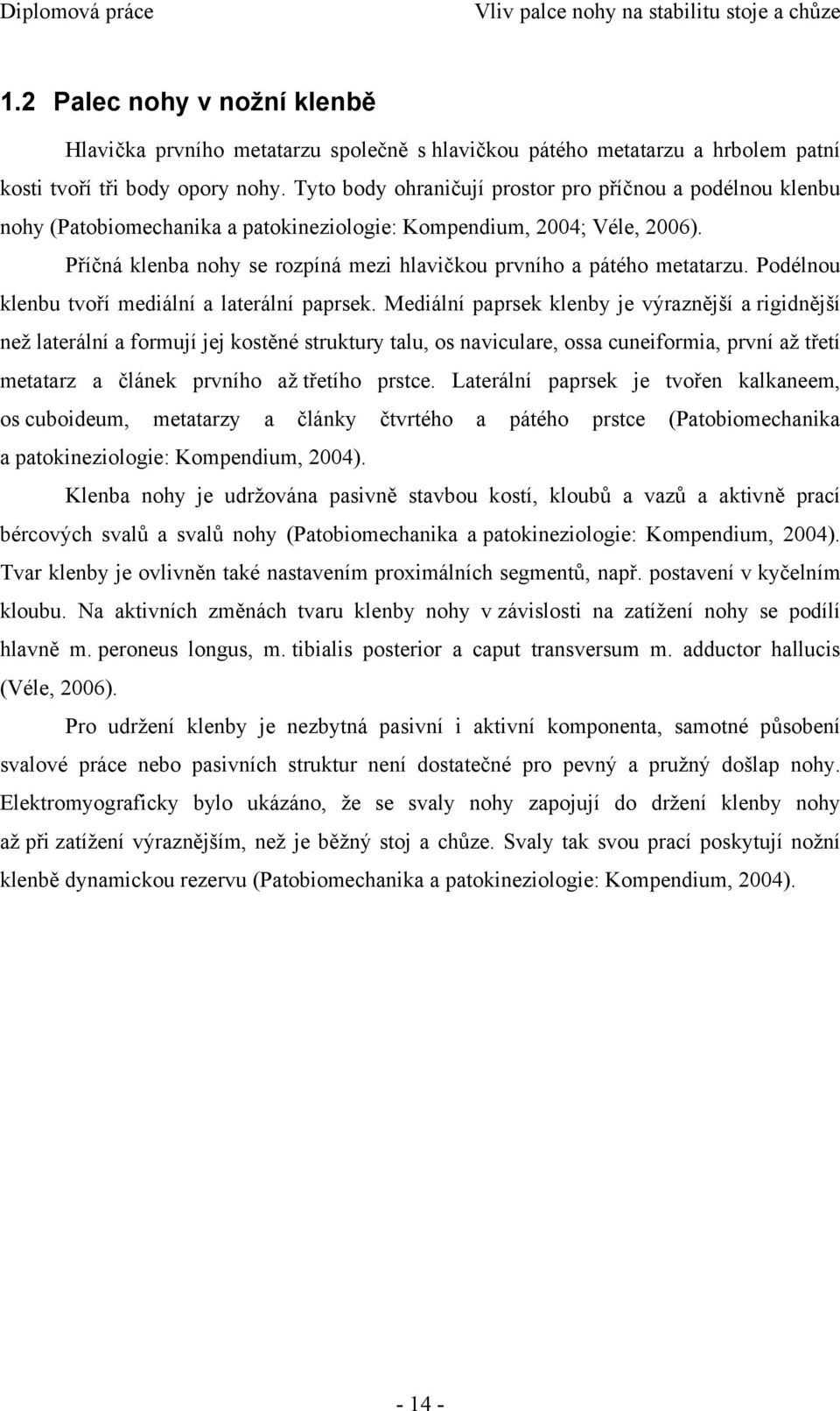 Příčná klenba nohy se rozpíná mezi hlavičkou prvního a pátého metatarzu. Podélnou klenbu tvoří mediální a laterální paprsek.