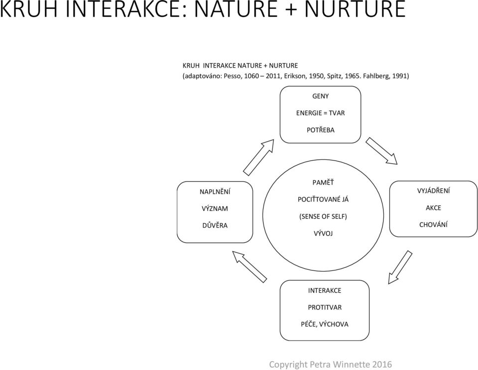 Fahlberg, 1991) GENY ENERGIE = TVAR POTŘEBA NAPLNĚNÍ VÝZNAM DŮVĚRA PAMĚŤ