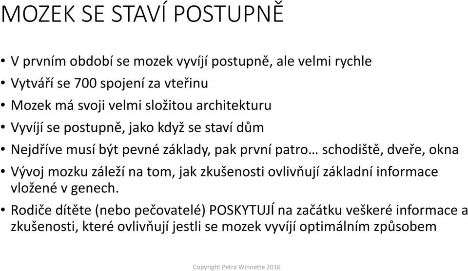 schodiště, dveře, okna Vývoj mozku záleží na tom, jak zkušenosti ovlivňují základní informace vložené v genech.