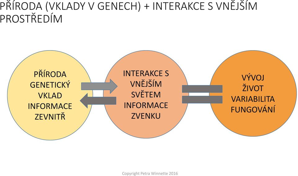 INFORMACE ZEVNITŘ INTERAKCE S VNĚJŠÍM SVĚTEM