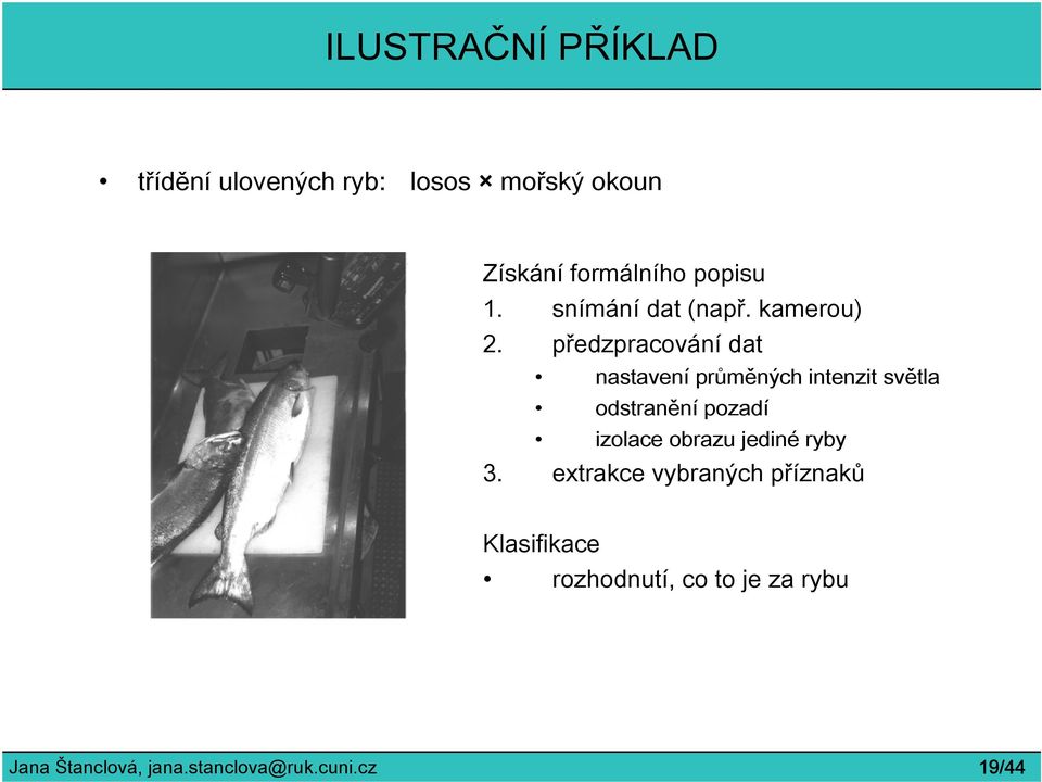 předzpracování dat nastavení průměných intenzit světla odstranění pozadí izolace