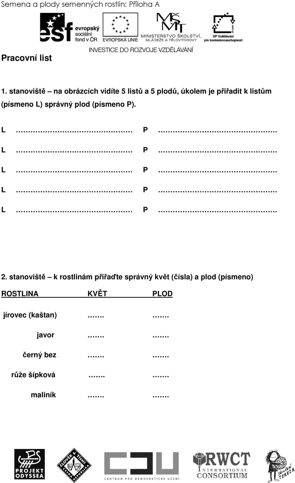 listům (písmeno L) správný plod (písmeno P). 2.