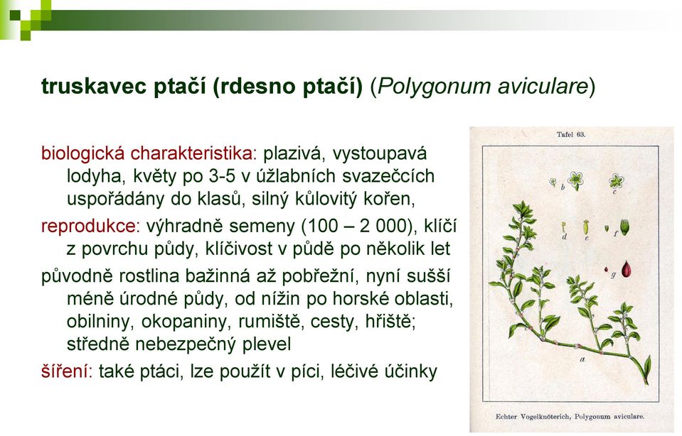 půdy, klíčivost v půdě po několik let původně rostlina bažinná až pobřežní, nyní sušší méně úrodné půdy, od nížin po horské