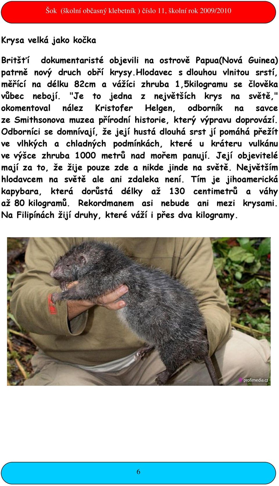 "Je to jedna z největších krys na světě," okomentoval nález Kristofer Helgen, odborník na savce ze Smithsonova muzea přírodní historie, který výpravu doprovází.
