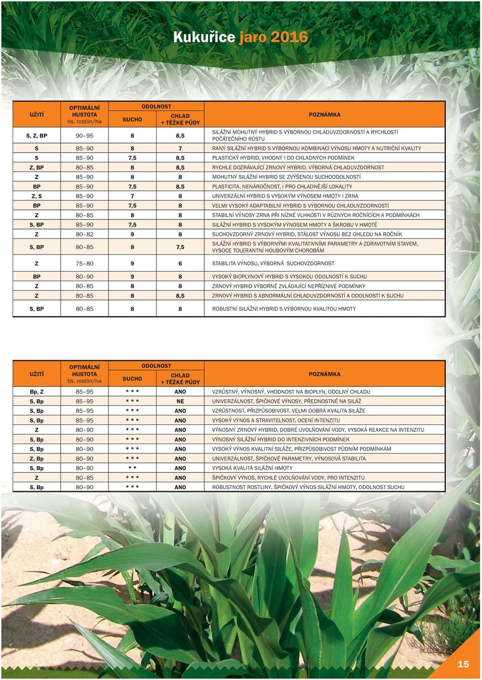 KOMBINACÍ VÝNOSU HMOTY A NUTRIČNÍ KVALITY S 85 90 7,5 8,5 PLASTICKÝ HYBRID, VHODNÝ I DO CHLADNÝCH PODMÍNEK Z, BP 80 85 8 8,5 RYCHLE DOZRÁVAJÍCÍ ZRNOVÝ HYBRID, VÝBORNÁ CHLADUVZDORNOST Z 85 90 8 8