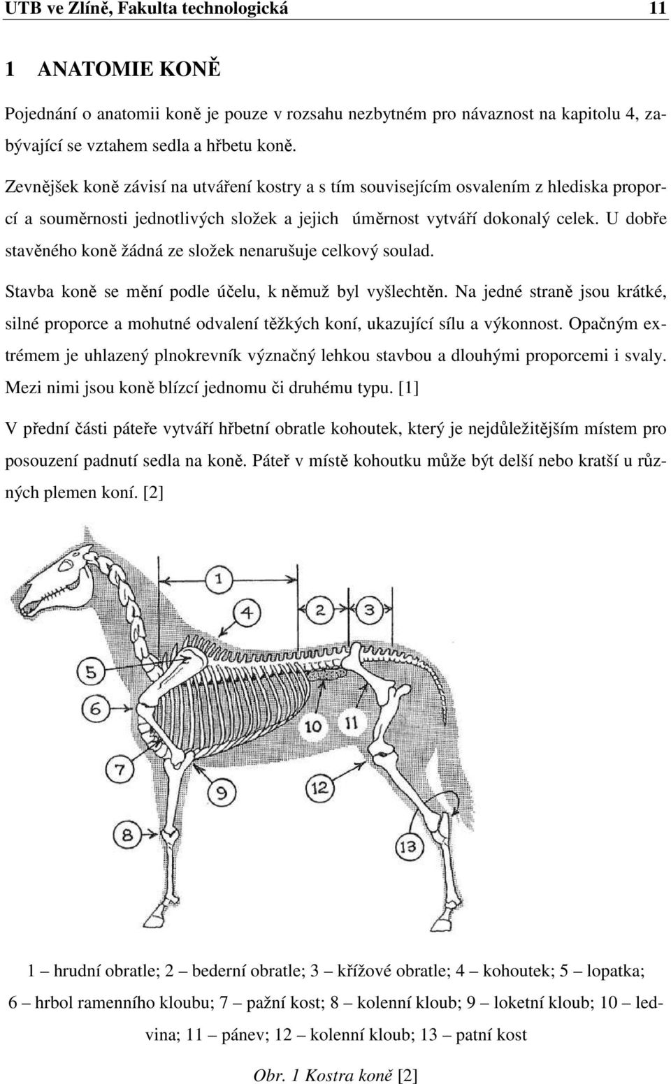 U dobře stavěného koně žádná ze složek nenarušuje celkový soulad. Stavba koně se mění podle účelu, k němuž byl vyšlechtěn.