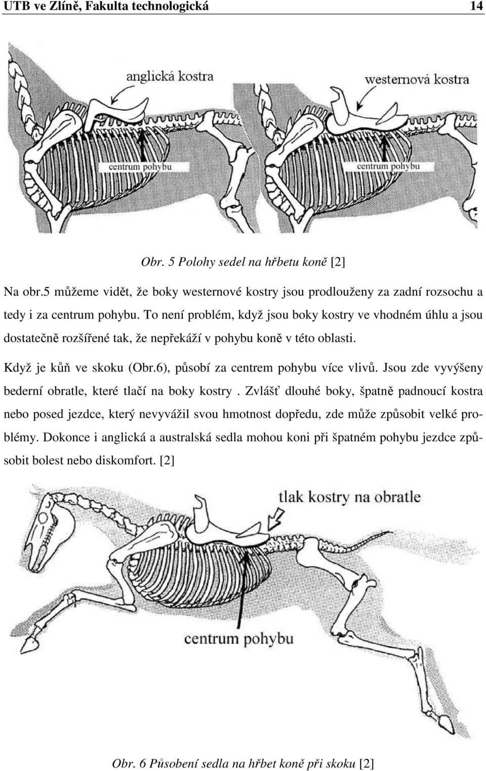 To není problém, když jsou boky kostry ve vhodném úhlu a jsou dostatečně rozšířené tak, že nepřekáží v pohybu koně v této oblasti. Když je kůň ve skoku (Obr.