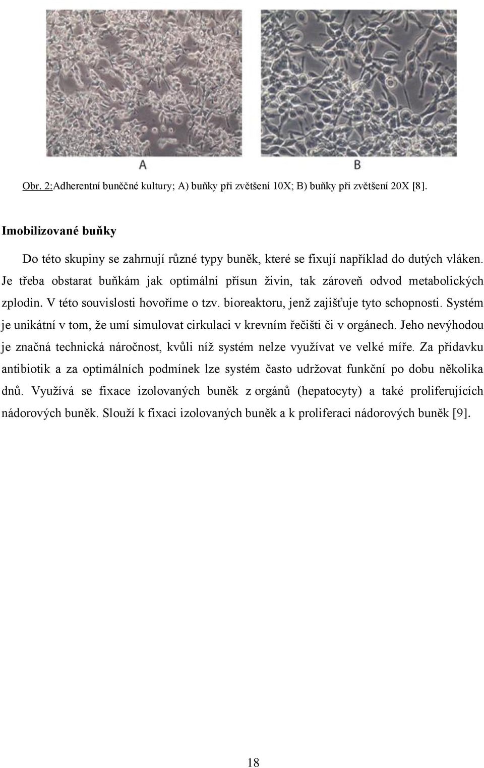 Je třeba obstarat buňkám jak optimální přísun živin, tak zároveň odvod metabolických zplodin. V této souvislosti hovoříme o tzv. bioreaktoru, jenž zajišťuje tyto schopnosti.