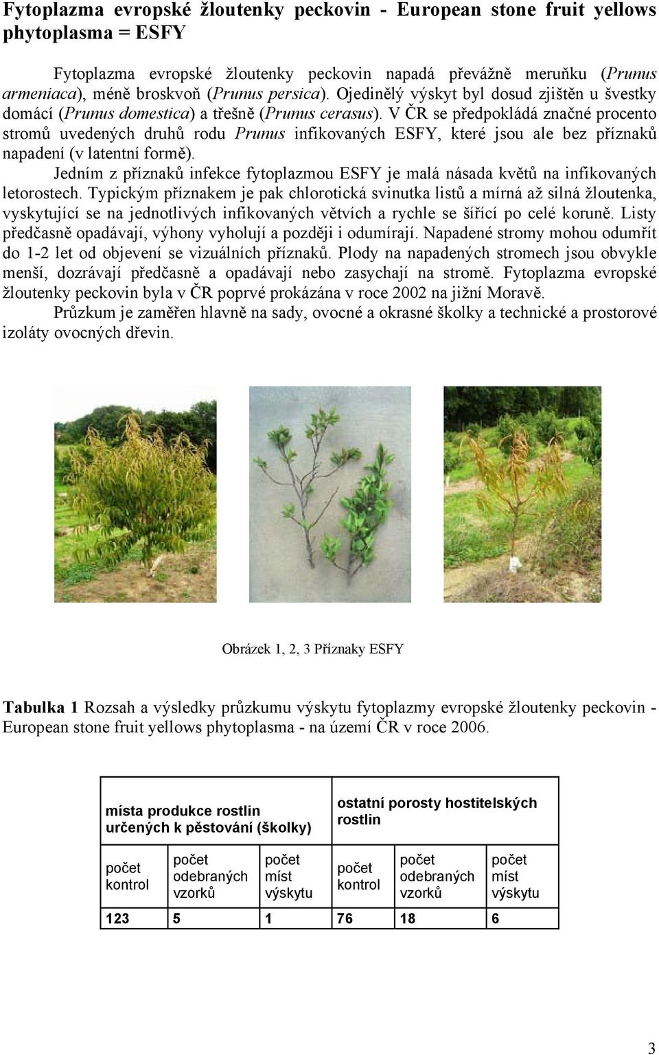 V ČR se předpokládá značné procento stromů uvedených druhů rodu Prunus infikovaných ESFY, které jsou ale bez příznaků napadení (v latentní formě).