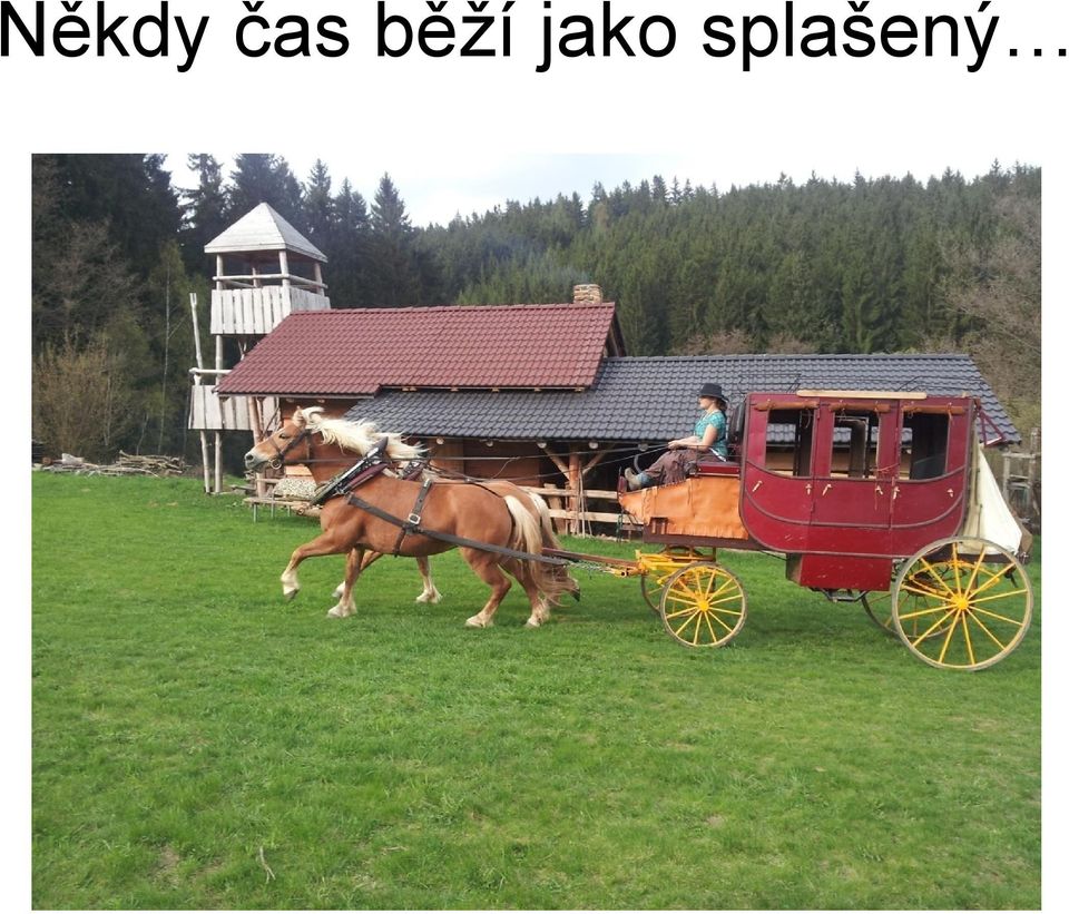 splašený