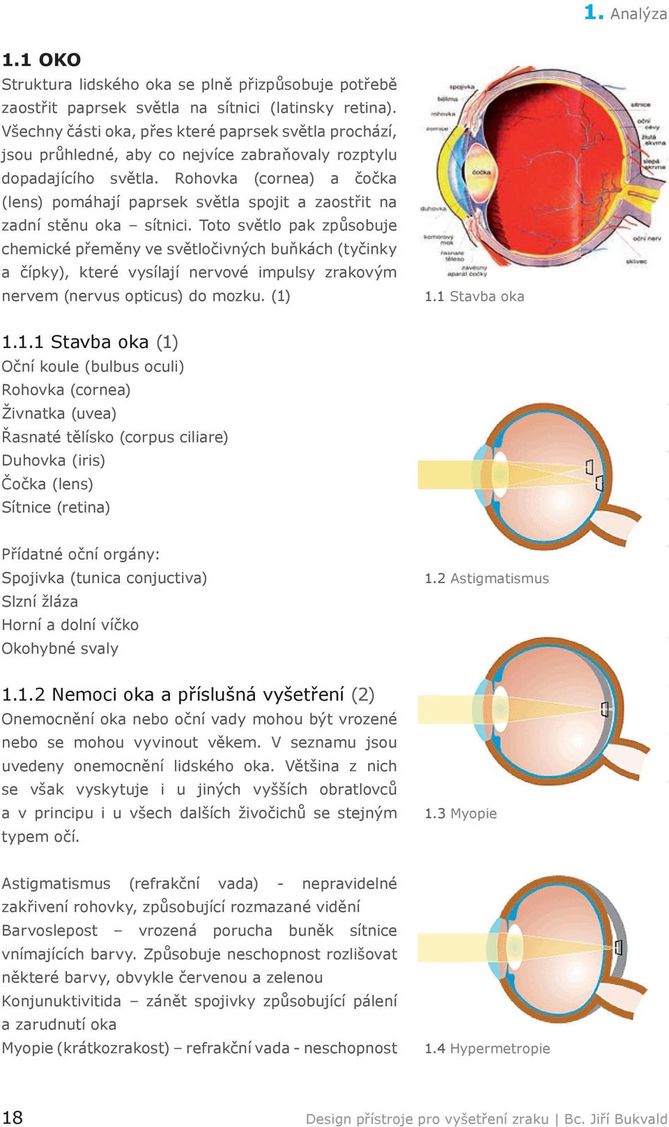 Rohovka (cornea) a čočka (lens) pomáhají paprsek světla spojit a zaostřit na zadní stěnu oka sítnici.